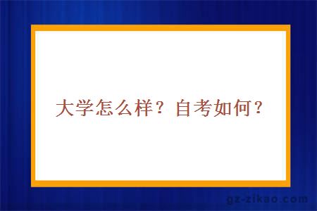 大學(xué)怎么樣？自考如何？
