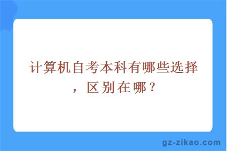 計算機自考本科有哪些選擇，區別在哪？