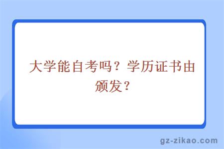 大學(xué)