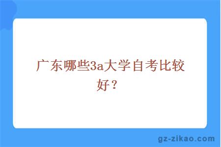 廣東哪些3a大學(xué)自考比較好？