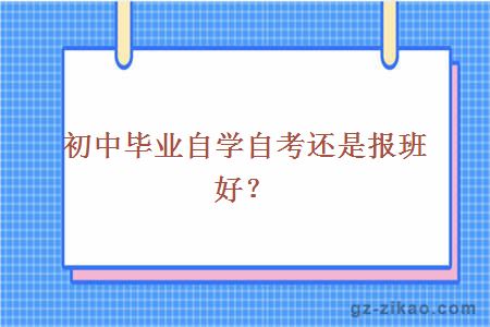 初中畢業(yè)自學(xué)自考還是報班好