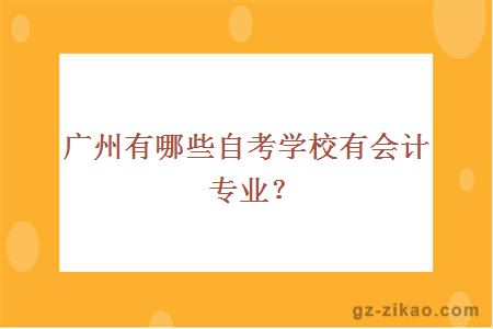 廣州有哪些自考學(xué)校有會(huì )計專(zhuān)業(yè)？