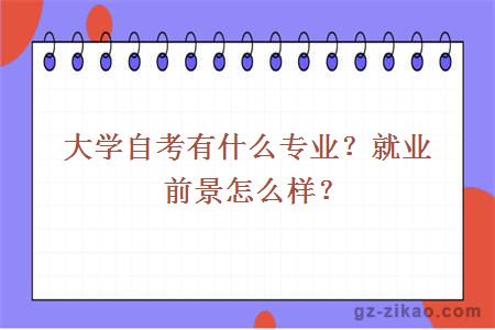大學(xué)自考有什么專(zhuān)業(yè)？就業(yè)前景怎么樣？