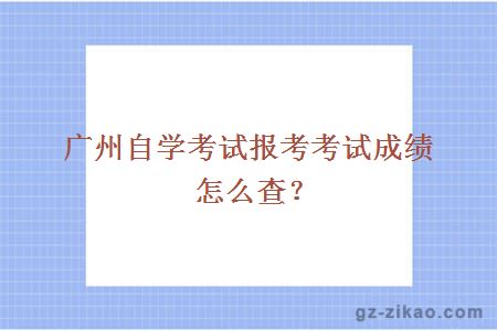 廣州自學(xué)考試考考試成績(jì)怎么查？