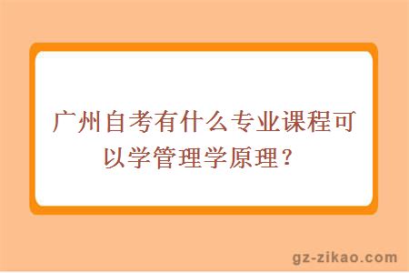 廣州自考有什么專(zhuān)業(yè)課程可以學(xué)管理學(xué)原理？