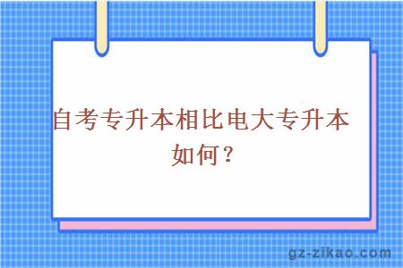 自考專(zhuān)升本相比電大專(zhuān)升本如何？