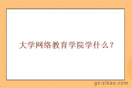 大學(xué)網(wǎng)絡(luò )教育學(xué)院學(xué)什么
