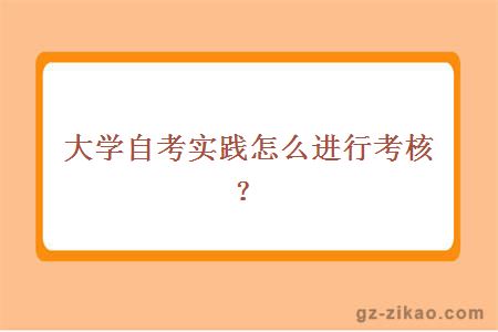 大學(xué)自考實(shí)踐怎么進(jìn)行考核？