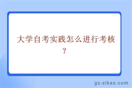 自考