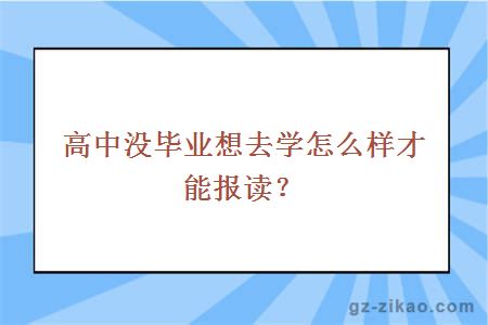 大學(xué)報考