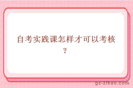 大學(xué)自考