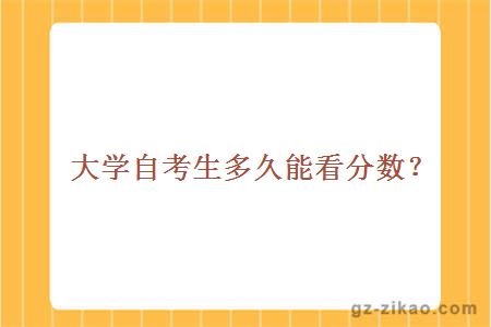 大學(xué)自考生多久能看分數？