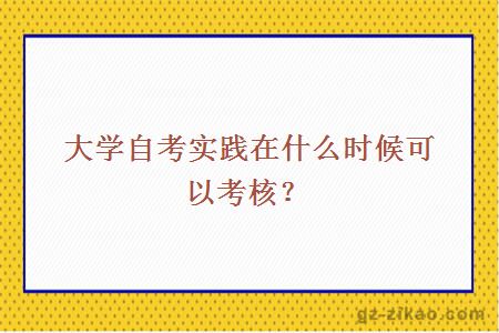 自考實(shí)踐考核