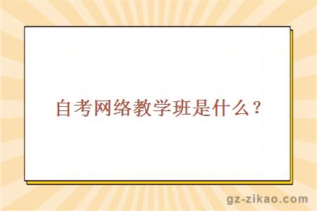 自考網(wǎng)絡(luò )教學(xué)班是什么？