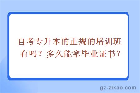 自考專(zhuān)升本