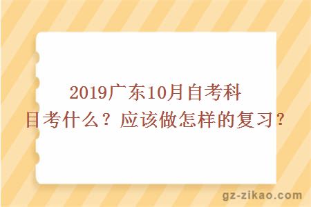 2019廣東10月自考科目考什么？應該做怎樣的復習？