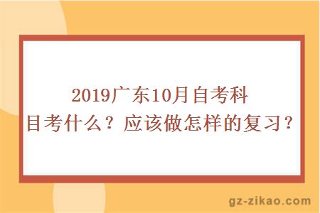 廣東10月自考科目
