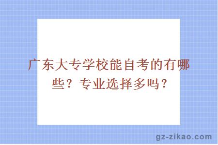 廣東大專(zhuān)學(xué)校能自考的有哪些？專(zhuān)業(yè)選擇多嗎？