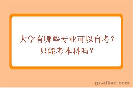大學(xué)有哪些專(zhuān)業(yè)可以自考？只能考本科嗎？