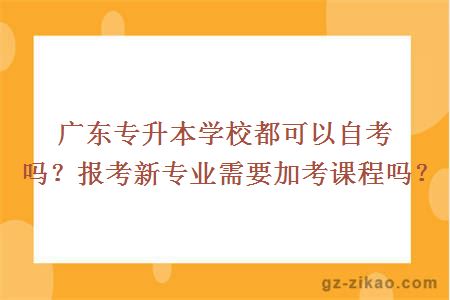 廣東專(zhuān)升本學(xué)校都可以自考嗎
