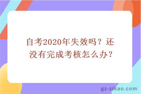 自考2020年失效嗎？還沒(méi)有完成考核怎么辦