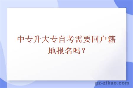 自學(xué)考試