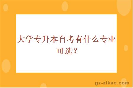 大學(xué)專(zhuān)升本自考有什么專(zhuān)業(yè)可選？