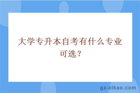 大學(xué)專(zhuān)升本自考有什么專(zhuān)業(yè)可選？