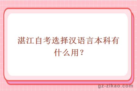湛江自考漢語(yǔ)言文學(xué)