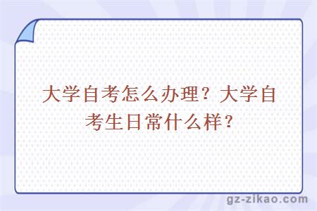 自考怎么辦理?自考生日常什么樣?