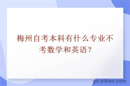 梅州自考本科有什么專(zhuān)業(yè)不考數學(xué)和英語(yǔ)？