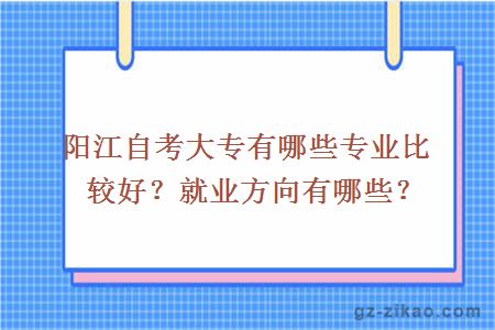陽(yáng)江自考大專(zhuān)有哪些專(zhuān)業(yè)比較好？就業(yè)方向有哪些？