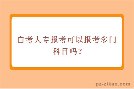 自考大專(zhuān)報考