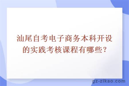 汕尾自考電子商務(wù)本科開(kāi)設的實(shí)踐考核課程有哪些？