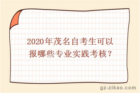 2020年茂名自考生可以報哪些專(zhuān)業(yè)實(shí)踐考核？