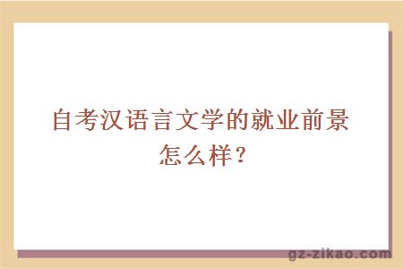 自考漢語(yǔ)言文學(xué)的就業(yè)前景怎么樣？