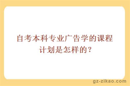 自考本科專(zhuān)業(yè)廣告學(xué)的課程計劃是怎樣的？