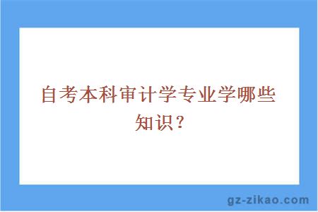 自考本科審計學(xué)
