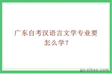 廣東自考漢語(yǔ)言文學(xué)專(zhuān)業(yè)要怎么學(xué)？