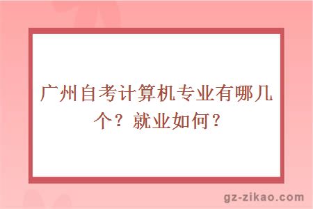 廣州自考計算機專(zhuān)業(yè)有哪幾個(gè)？就業(yè)如何？