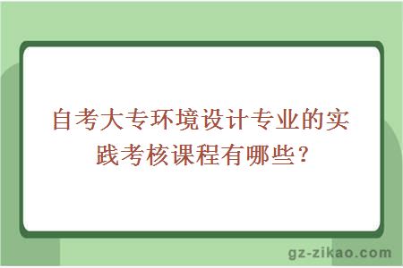 自考大專(zhuān)環(huán)境設計專(zhuān)業(yè)的實(shí)踐考核課程有哪些？