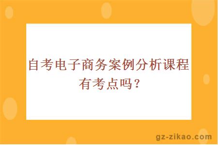 自考電子商務(wù)案例分析課程有考點(diǎn)嗎？