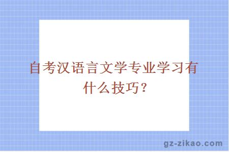 自考漢語(yǔ)言文學(xué)專(zhuān)業(yè)學(xué)習有什么技巧？