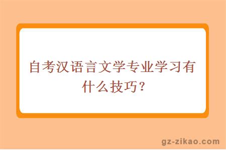 自考漢語(yǔ)言文學(xué)專(zhuān)業(yè)學(xué)習有什么技巧？