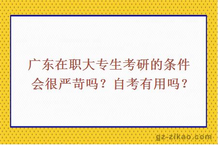 廣東在職大專(zhuān)生考研的條件會(huì )很?chē)揽羻?？自考有用嗎?></a>
                <div   id=