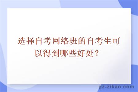 選擇自考網(wǎng)絡(luò )班的自考生可以得到哪些好處？