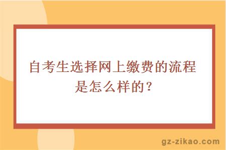 自考生選擇網(wǎng)上繳費的流程是怎么樣的？