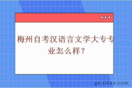 梅州自考漢語(yǔ)言文學(xué)大專(zhuān)專(zhuān)業(yè)怎么樣？