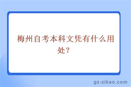 梅州自考本科文憑有什么用處？