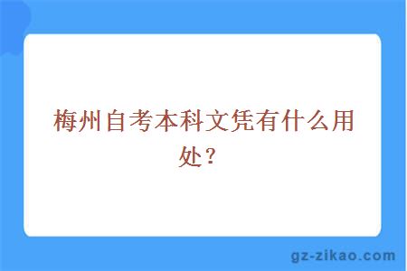 梅州自考本科文憑有什么用處？